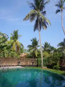 Star White Negombo - 5