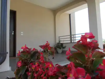 Villa Lauro Luxury B&B - 23