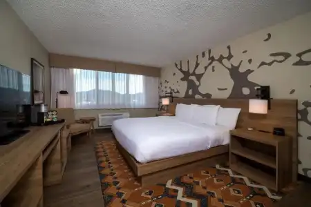 Holiday Inn Estes Park by IHG - 79