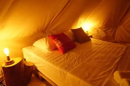 Roost Glamping - 1