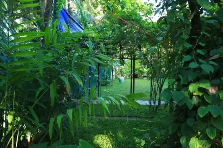 Yala River Face Inn - 52