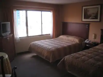 Elegance - 4