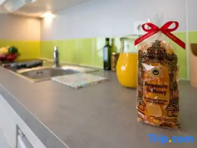 Nemea Appart Home Suite Nancy Centre - 62