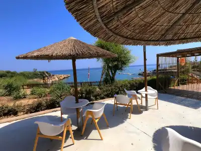 Malama Beach Holiday Village - 31
