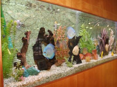 Montemar Maritim - 28