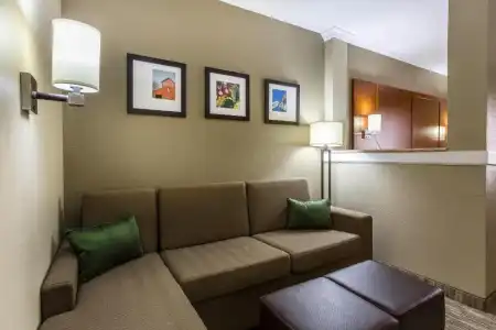 Comfort Suites University - 55