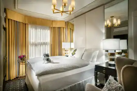 Staypineapple, An Elegant, Union Square - 5