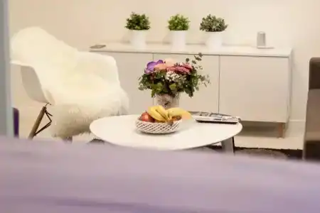 Tesla Boutique Apartments & Rooms - 92