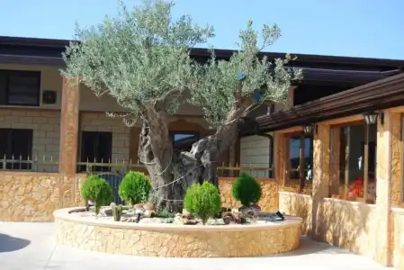 Tenuta Madre Terra Resort - 1