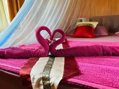Nadia Resort Kohjum - 43