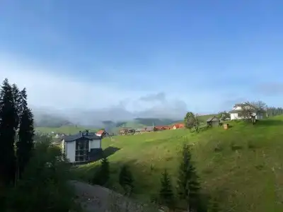 Gora - 26