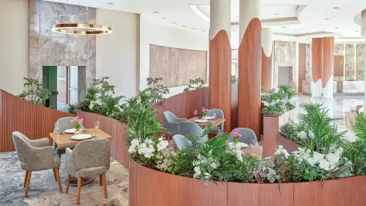 Hilton Alexandria Green Plaza - 23