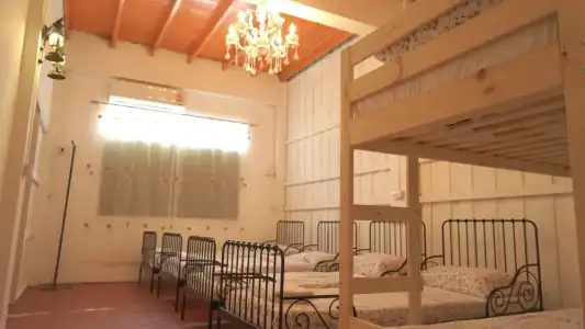 Tiger Lily Hostel - 25