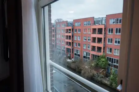 Linden - 122