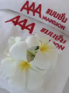 AAA Mansion - 15