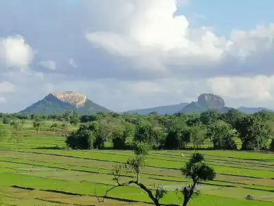 Organic Garden Sigiriya - 16