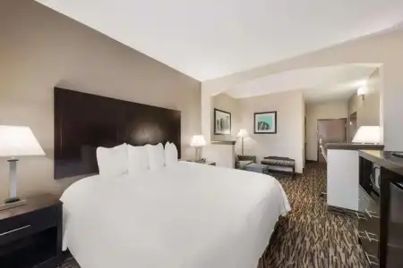 Comfort Suites Plano East - Richardson - 37