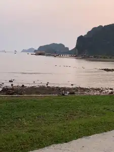 Blue Orchid Beach Krabi - 14