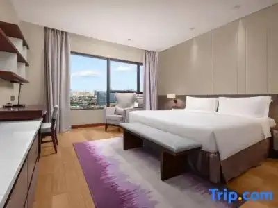 Ascott Raffles City Chengdu - 88