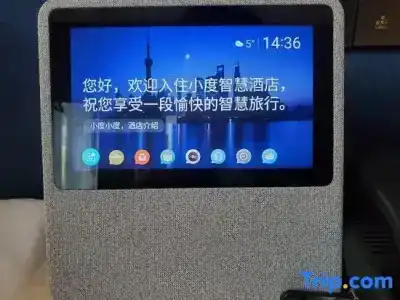 Xi'an Daxi - 3