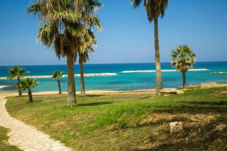 Venus Beach - 43