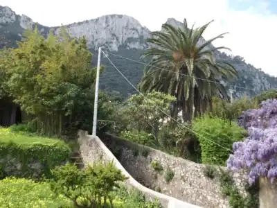 Capri Inn - 13