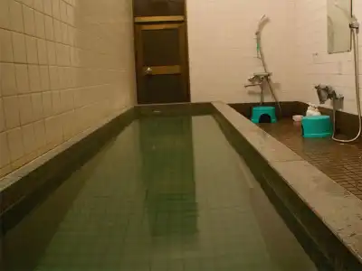 Ryokan Sakamotoya - 13