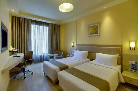 Sarovar Portico Naraina Delhi - 58