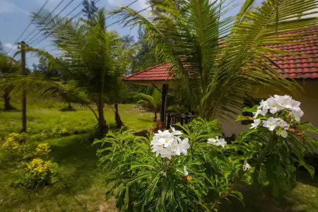 Pranee Beach Bungalows - 51