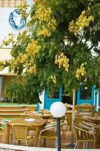 Kaliopa - 24