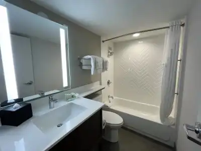 Holiday Inn & Suites Chicago - Downtown by IHG - 55