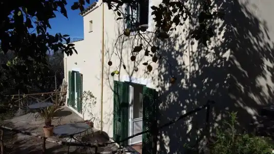 Gli Ulivi Agriturismo - 29