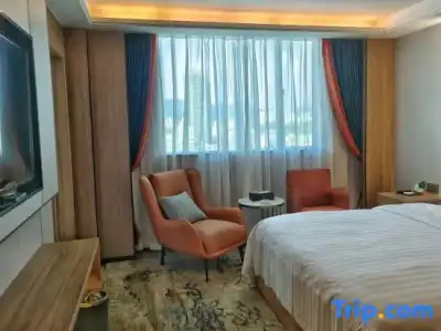 Metropolitan - 44