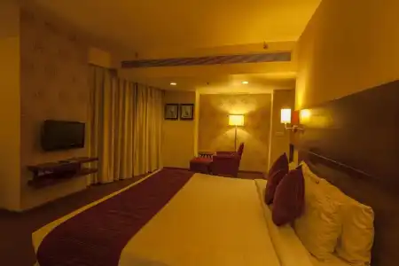 Vesta International - 50