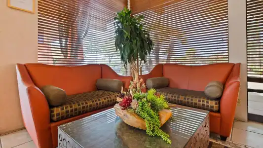 Royal Sun & Suites - 12