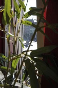 Le Kléber Hôtel - 20