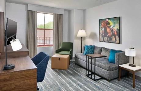 Hampton Inn & Suites Saratoga Springs Downtown - 144