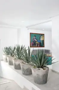 Círculo Condesa - 9