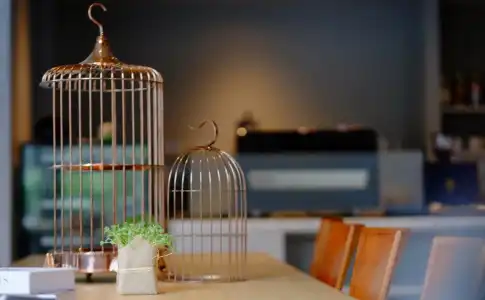 Abloom Exclusive Serviced Apartments - 10