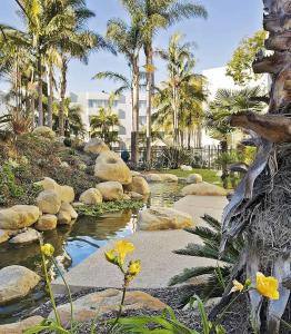 Ventura Beach Marriott - 47