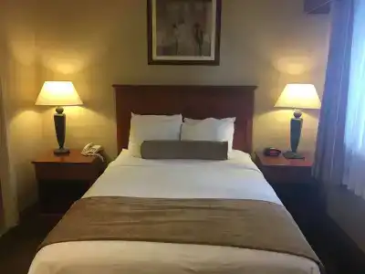 Best Western Vista Inn At The Airport - 2