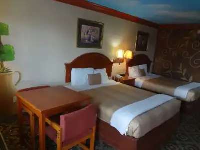 Nola Inn & Suites - 3