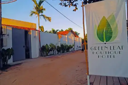 Green Leaf Boutique - 0