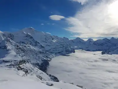 Alpenkräuter Bären - 11
