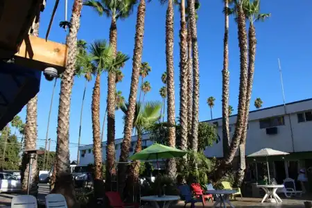 Tradewinds LAX Airport - 15