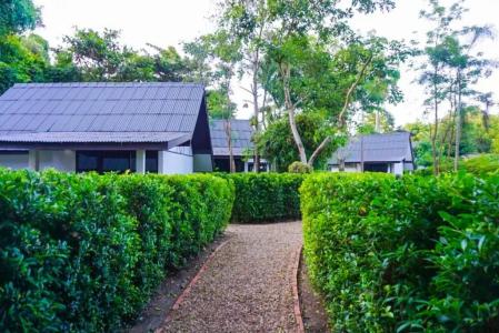 Banyan Resort @Rayong - 50