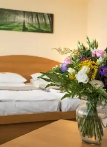 astral Inn Leipzig - 10