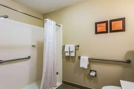 Comfort Inn & Suites Chattanooga West - Lookout Mountain - 8