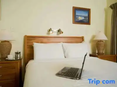 Best Western Ellerslie International - 100