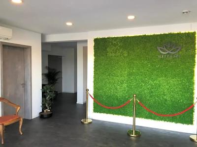 Sleep & Dream Nähe Europapark Rust - 16